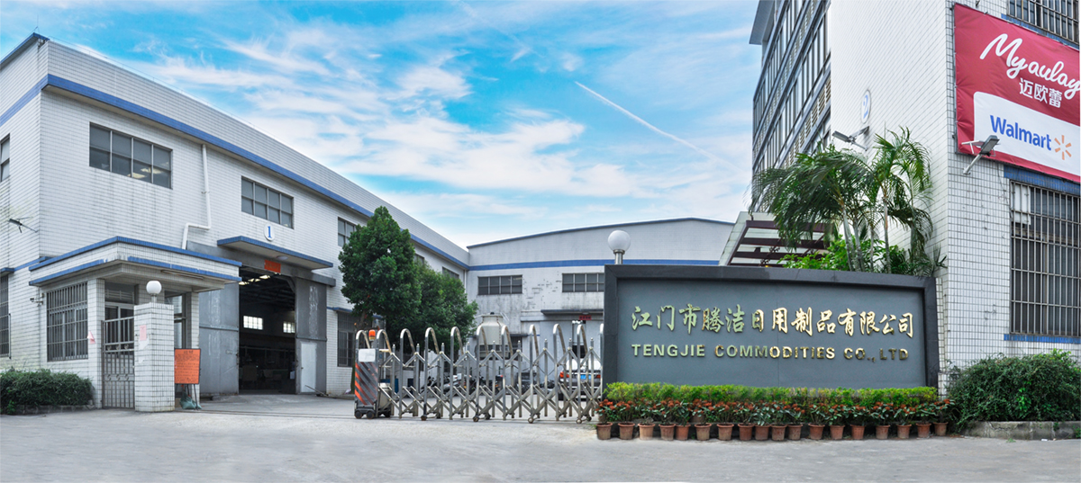 Mejores moldes de paletas